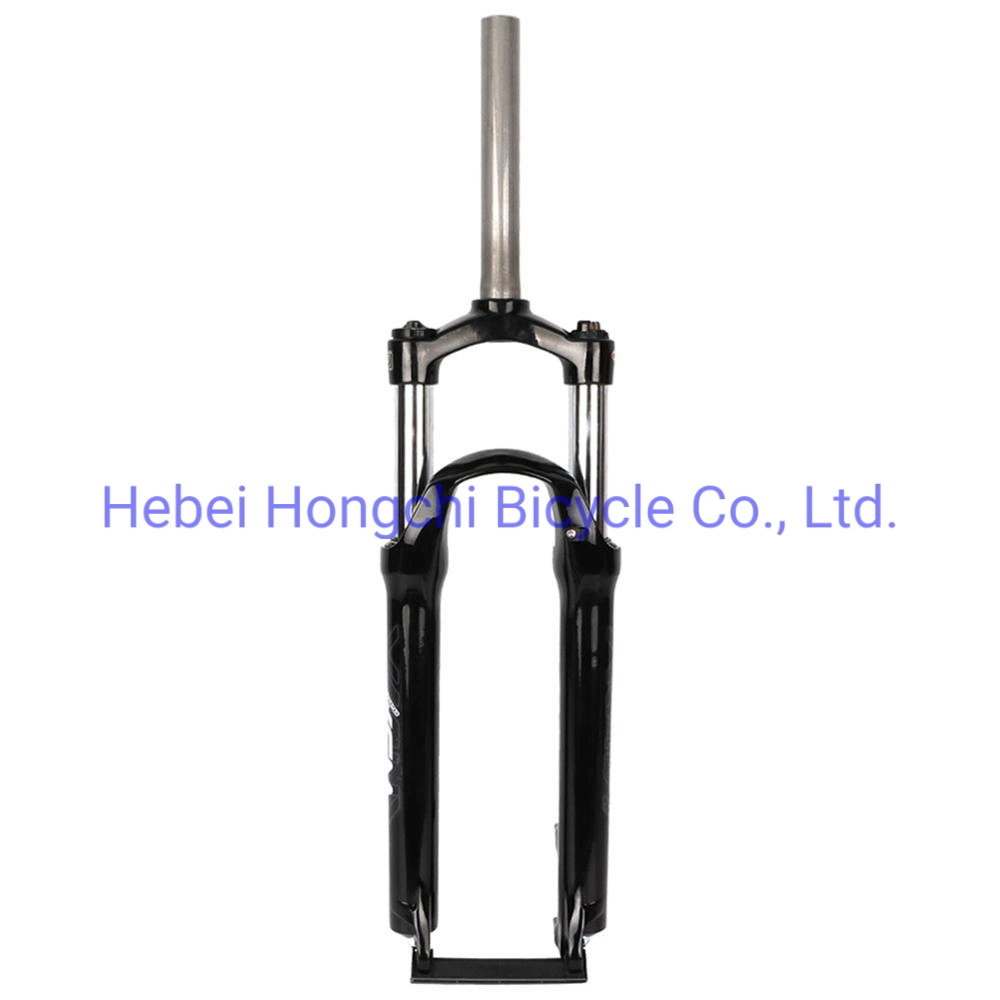 High Quality Bicycle Store Bike Private Front Fork